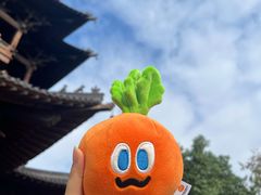 -杭州半山国家森林公园