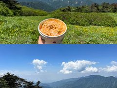 -秦岭风景区