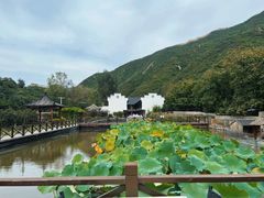 -荷塘味道(水长城店)