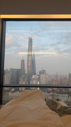 点击看大图 -智美品质医美