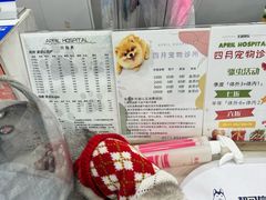 -四月宠物医院·猫专科·心脏专科·内科(转塘店)