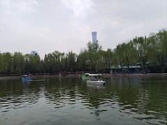 -团结湖公园