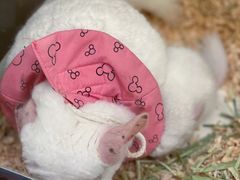 -龙猫仔乐园(惠福东路店)