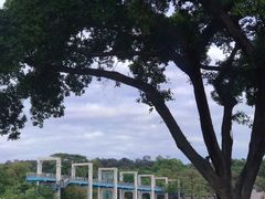 -东莞植物园
