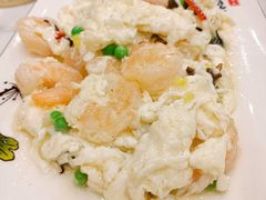 芙蓉虾仁-老苏扬饭店