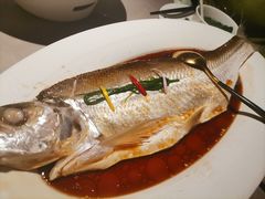-醉庐·新上海菜(南京西路店)