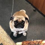 我非常喜欢二十集无界餐厅的免费生日布置服务。首先