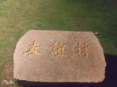 -金砂公园