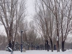 -北坞公园
