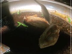 鸡翅-石记东北风味烤肉店(子固路店)