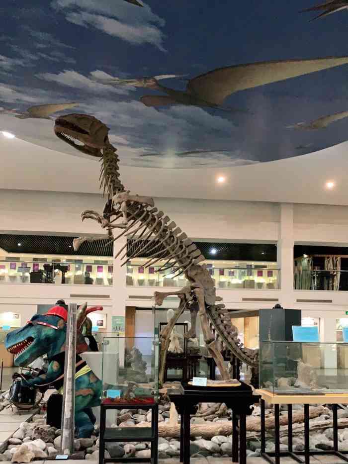 上海地质科普馆-"疫情期间不便离沪,想来想去孩子还是想去这.
