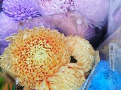 -循礼门鲜花花市(武汉循礼门店)