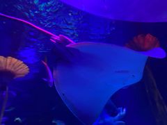 -沈阳海洋探索中心