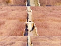 -嘉北郊野公园