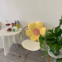 -凡碧诗毛孔收细