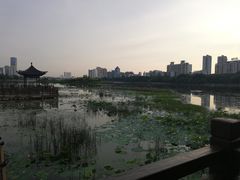 -南宁南湖公园