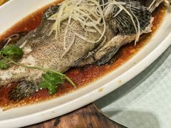 -双井轩(双井店)