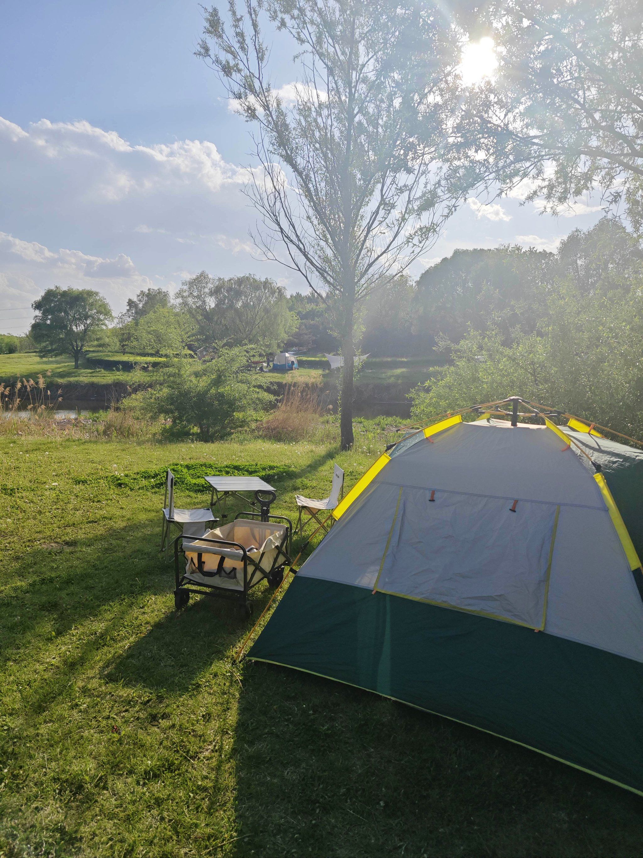 又到人间最美四月天了 #享受春日美景 #一花一草一世界 就在仟睿达水