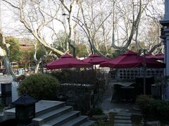 -西湖外事游船(花港观鱼码头)