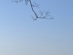 -句容茅山景区