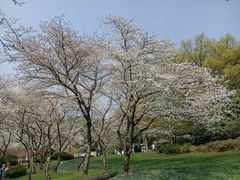 -中国茶叶博物馆(双峰馆区)