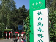 -长白岛森林公园