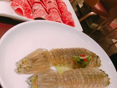 赖尿虾-协成海鲜火锅(情侣路店)