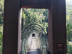 -海南热带雨林国家公园吊罗山景区