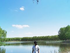 -东郊湿地公园