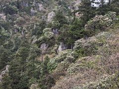 -九峰山