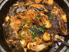 砂锅蝶鱼头-新海渔港·胶东海鲜家常菜·家宴(奥体中心店)