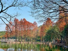 -西樵山风景名胜区-天湖公园