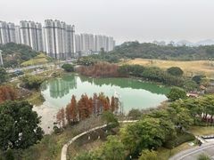 -广州汇华希尔顿逸林酒店