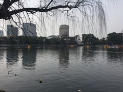 景点-月湖公园