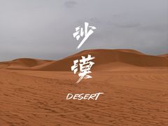-银肯塔拉沙漠生态旅游景区
