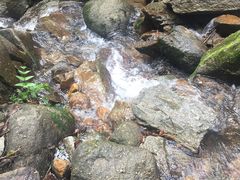-火炉山森林公园