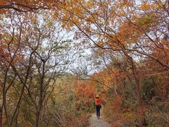 -南山风景名胜区