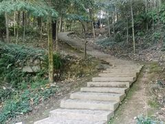 -上海佘山国家森林公园天马山园