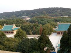 -武汉大学-樱园