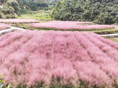 -永州阳明山国家森林公园