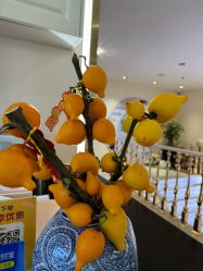 -名媛颜蕙·LPG官方旗舰店