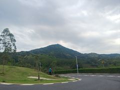 -黄埔油麻山森林公园