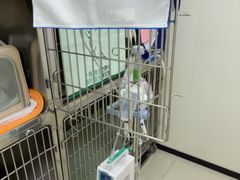 -美联众合动物医院·24h京西诊疗中心