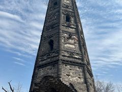 -上海佘山国家森林公园天马山园