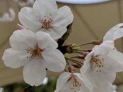 -江南大学(蠡湖校区)