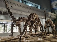 -自贡恐龙博物馆