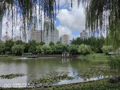 -新虹桥中心花园