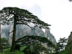 -黄山白云宾馆