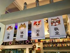 -猫咪博物馆(顶澳仔猫街店)