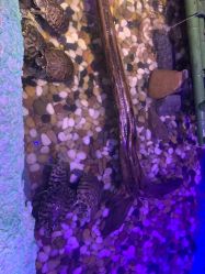 -酷嗒动物文化乐园(cutezoo西溪乐天城店)